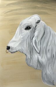 acrylic painting of a brahma