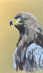 Bird acrylic painting