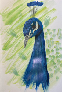 Peacock acrylic painting
