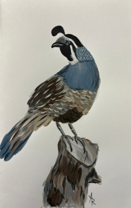 Quail acrylic painting