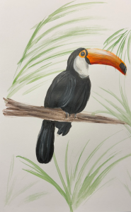 Toucan acrylic painting